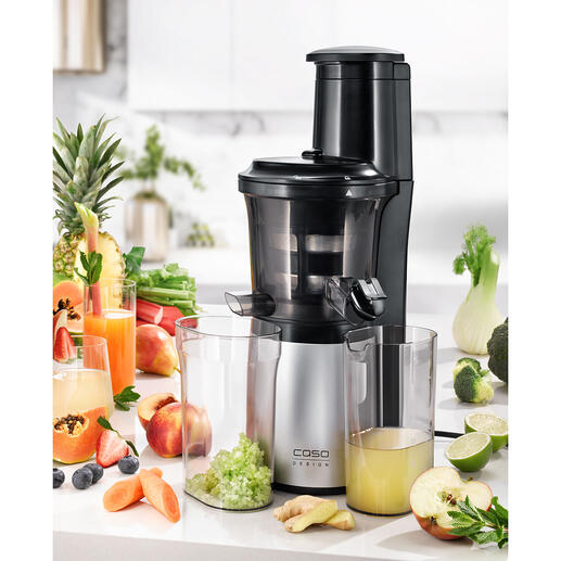 Caso Slow Juicer Small, Quiet 300W Motor, Gentle Juicing Thanks to Low Speed(60 rpm). Caso Design Product