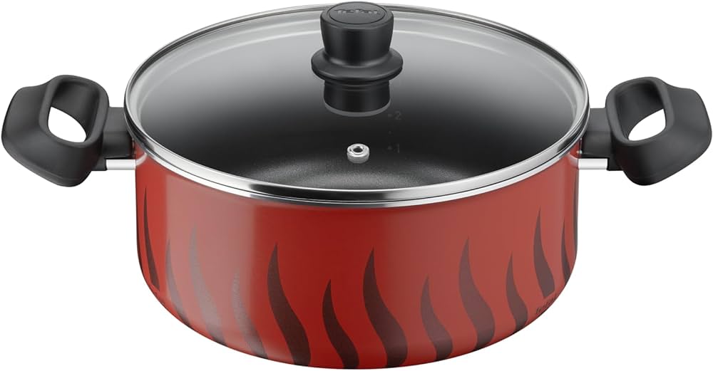 Tefal Tempo Flame Dutch Oven 24CM+Glass Lid