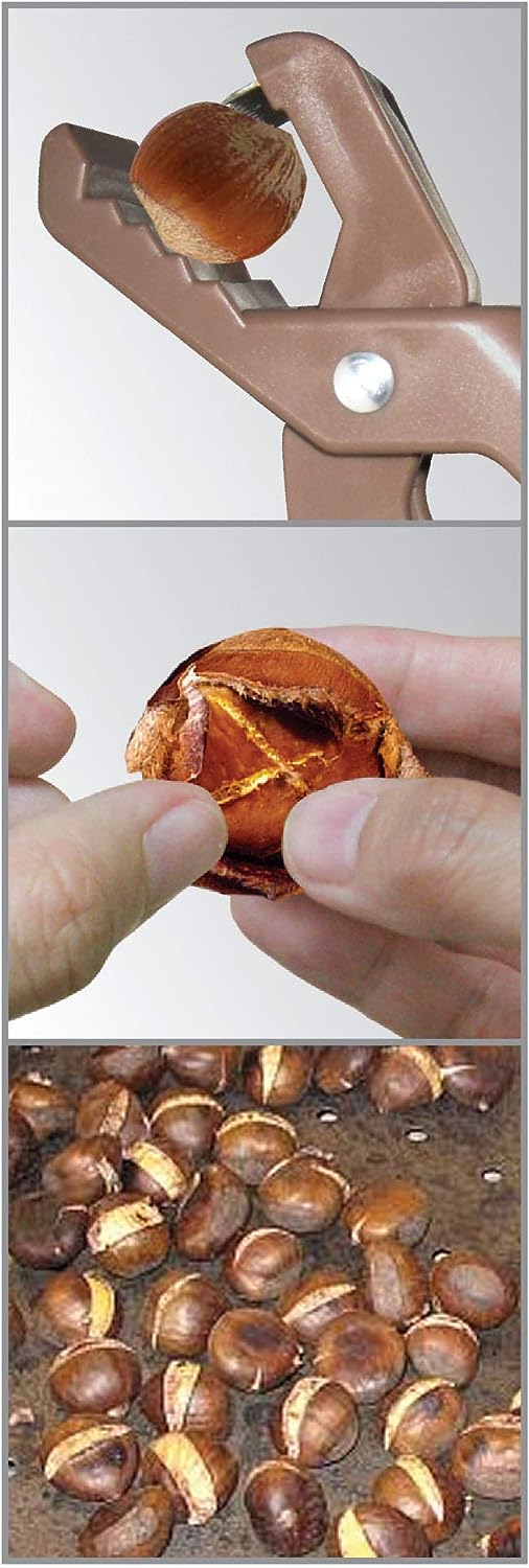 Fackelmann Chestnut Cracker, PP & S.S, 175 mm, Brown