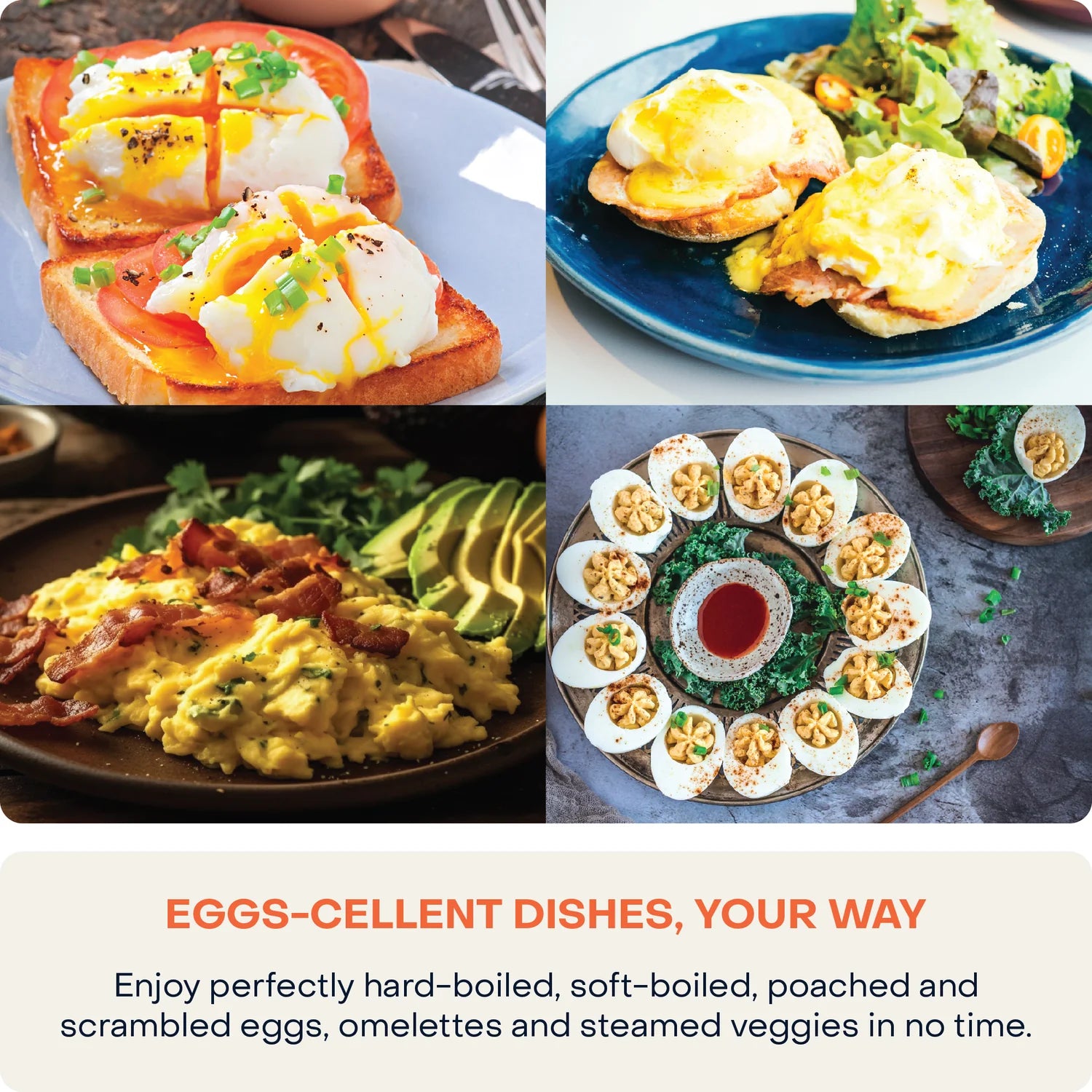 Nutricook Rapid Egg Cooker ، إيقاف تلقائي ، 360 وات ، فضي