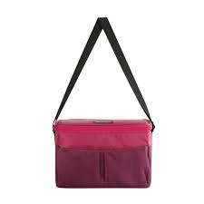 IGLOO Collapse & Cool 12 Solid Assortment Red
