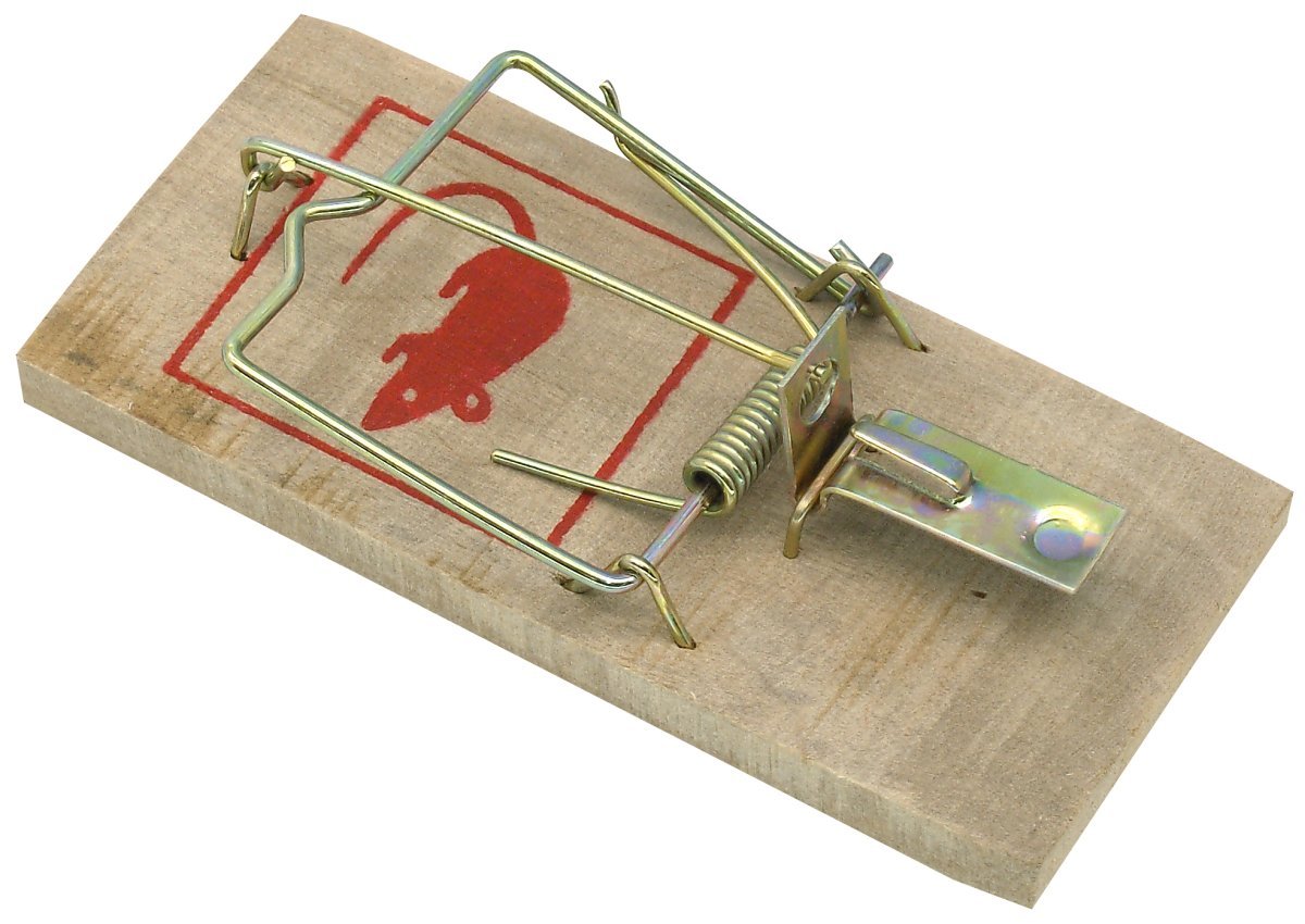 Fackelmann Mouse Wood Trap, 2Pcs