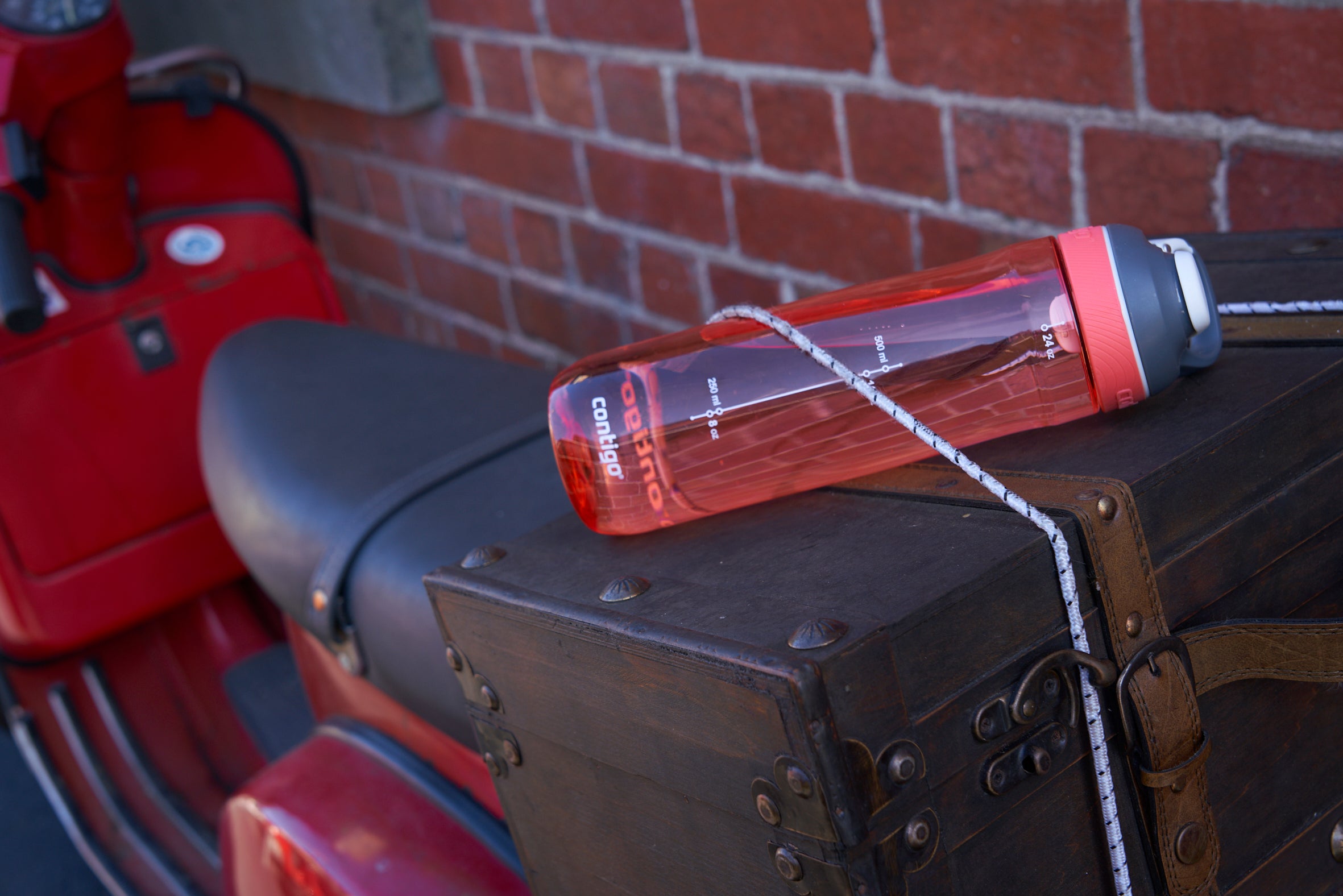 Contigo Autoseal Cortland Water Bottle