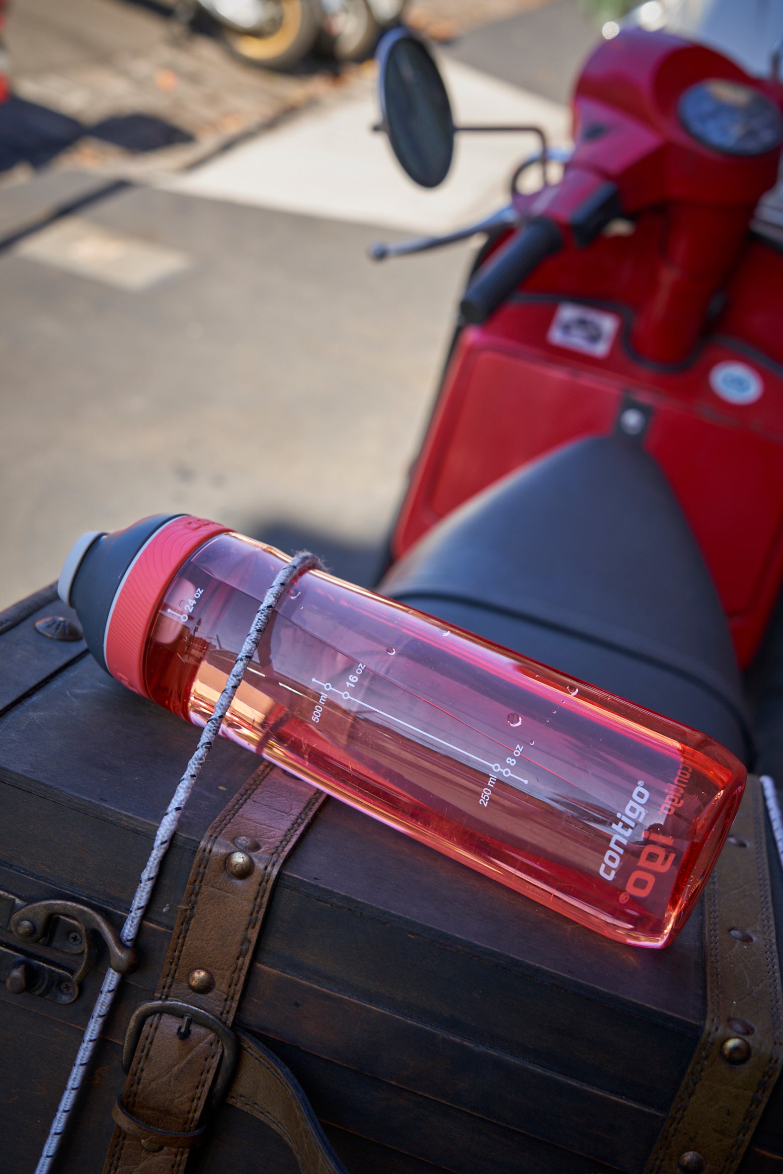 Contigo Autoseal Cortland Water Bottle