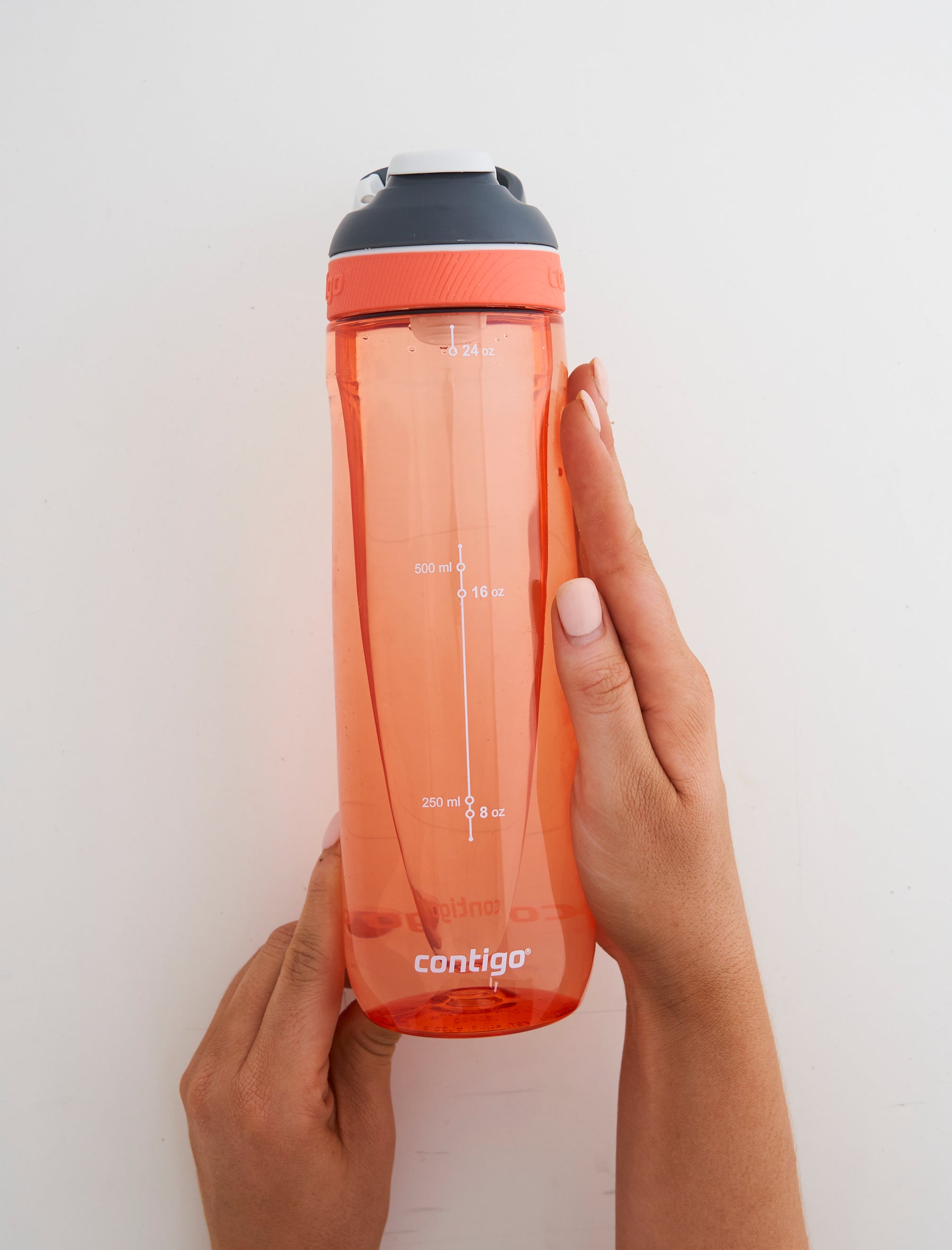 Contigo Autoseal Cortland Water Bottle