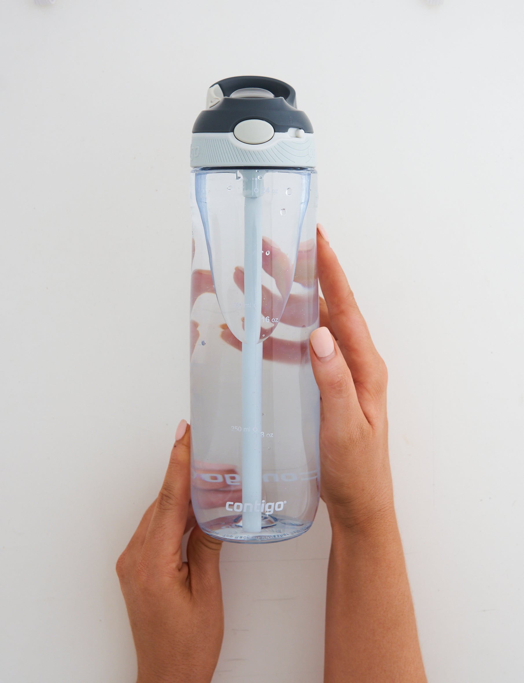 Contigo Autospout Ashland Water Bottle - Whole and All