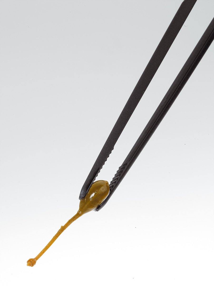 GEFU Multi-Tweezers Piccolino - Whole and All