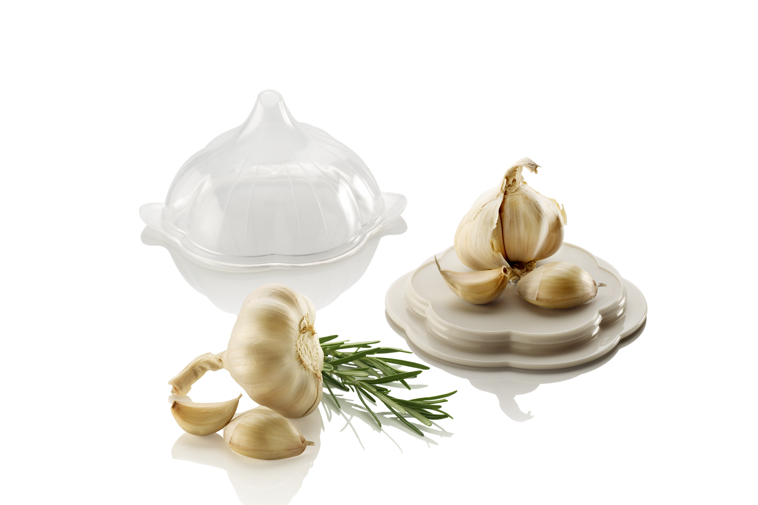 Metaltex Plastic, Silicone Cover Garlic Saver Container, 30X21X14 Cm