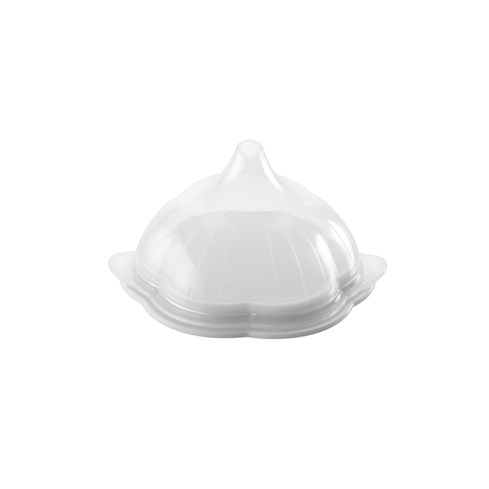 Metaltex Plastic, Silicone Cover Garlic Saver Container, 30X21X14 Cm