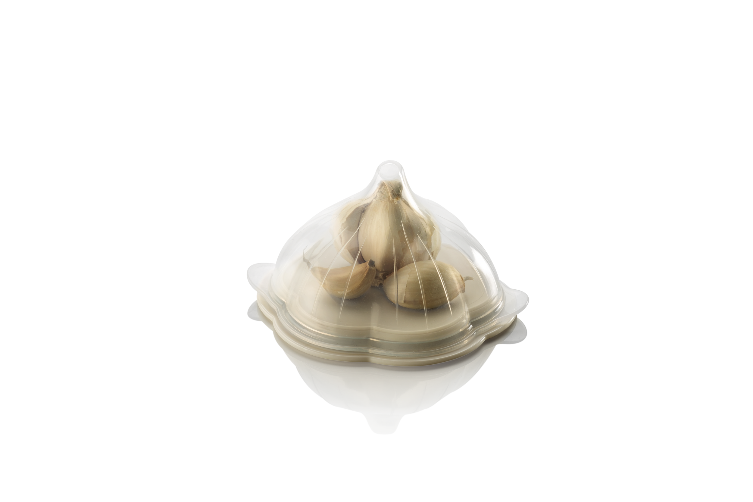 Metaltex Plastic, Silicone Cover Garlic Saver Container, 30X21X14 Cm