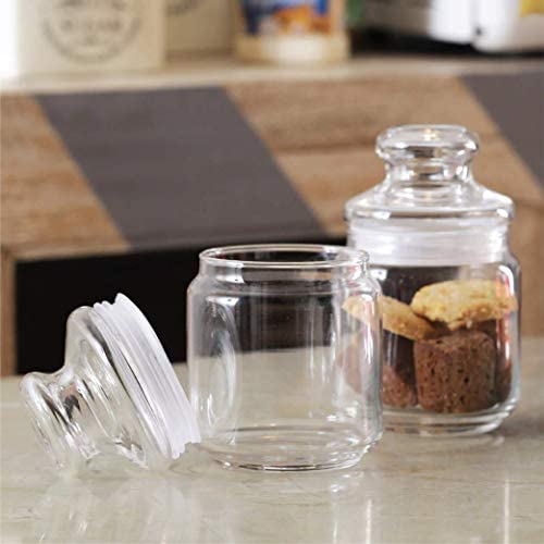 Ocean Pop Jar Glass Lid, 500 ml