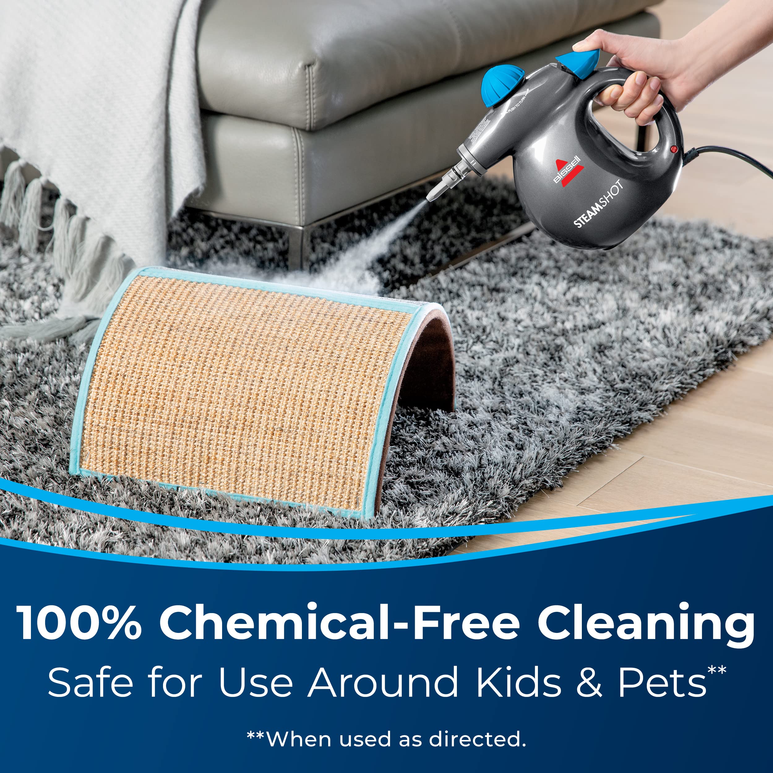 Bissell Steam Shot Handheld Cleaner