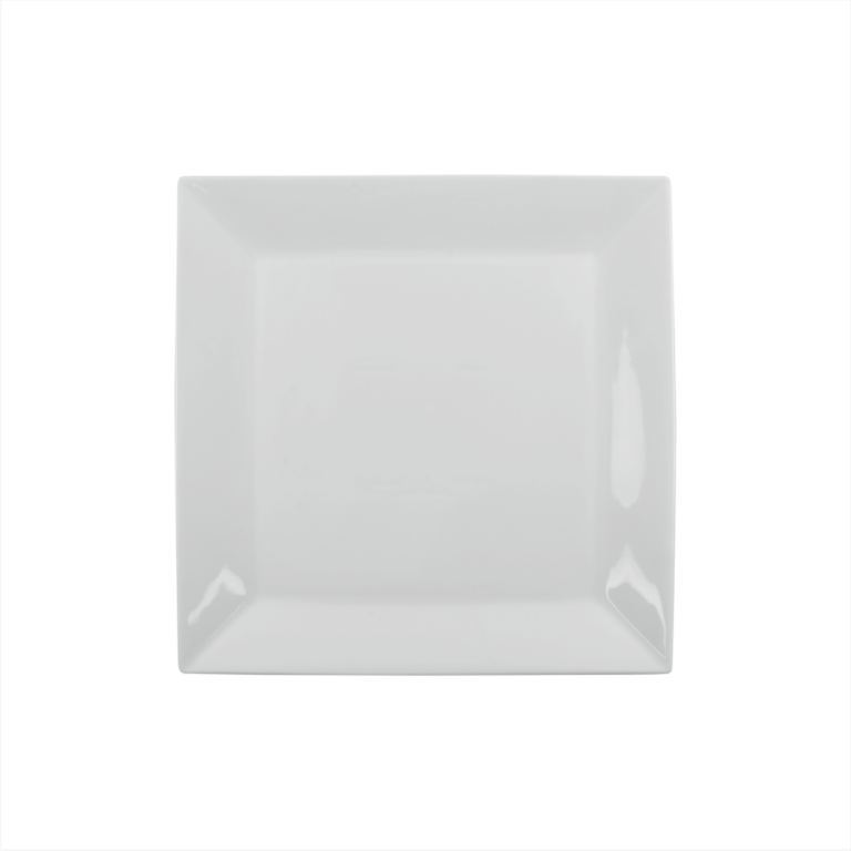 Ariane Plate Square Panorama