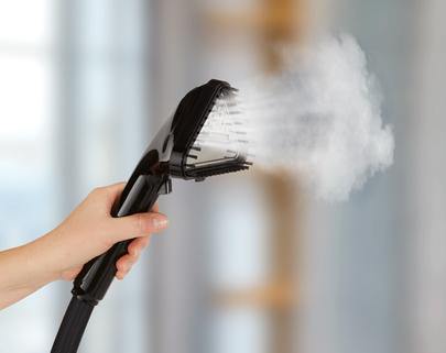 Tefal Garment Steamer Master Precision - Whole and All