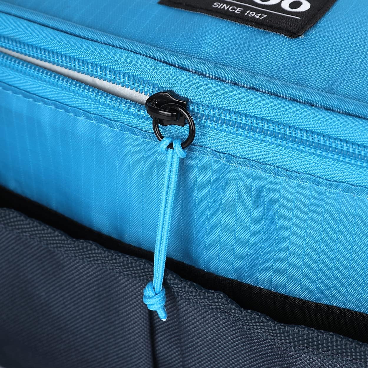 IGLOO Collapse & Cool 24 Solid Assortment Blue