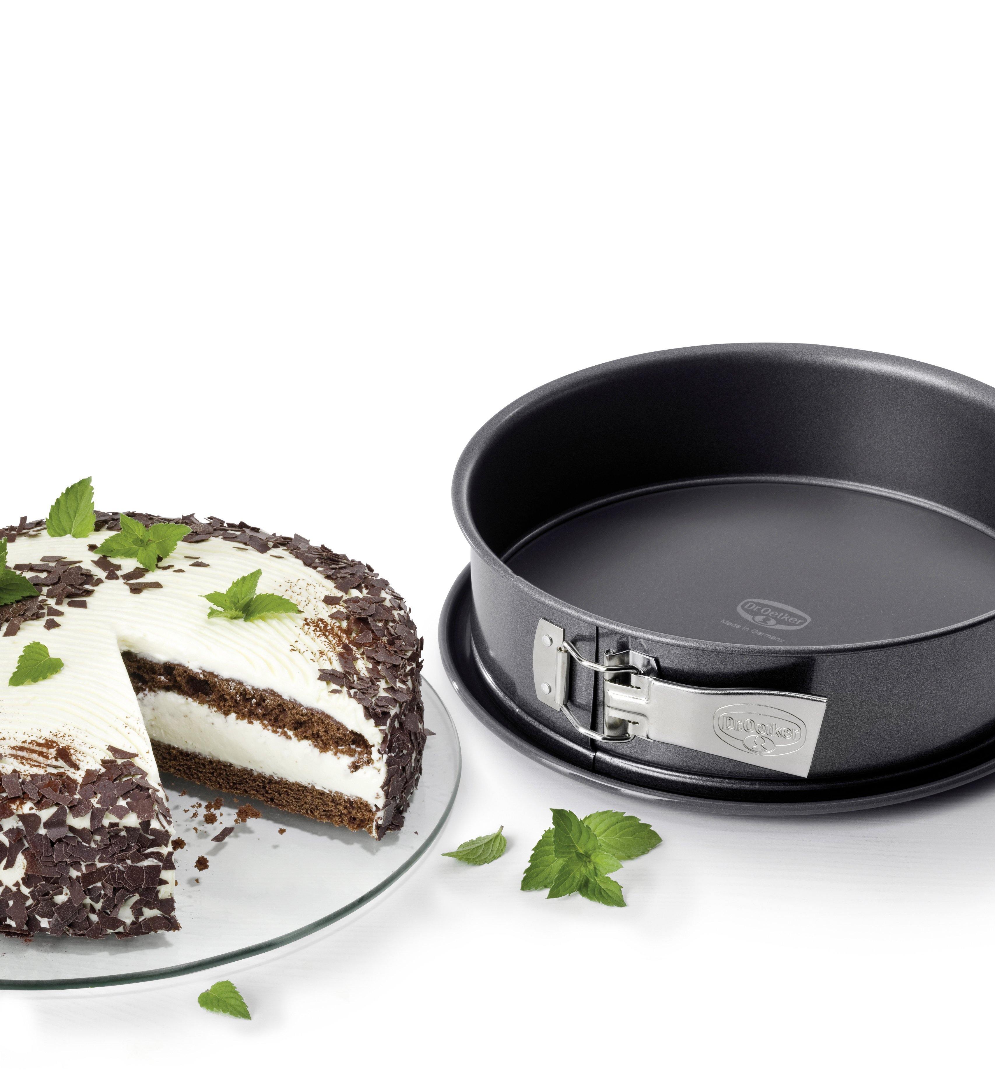 Dr. Oetker "Back-Harmonie" Springform With Enamel Base And  Non-Stick Ring, Grey, 28X8 Cm - Whole and All