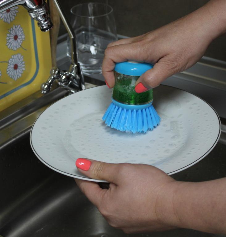 Fackelmann Soap Dispensing Palm Dish Brush